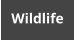 Wildlife